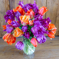 Colour Magic Tulip Mixture Seeds