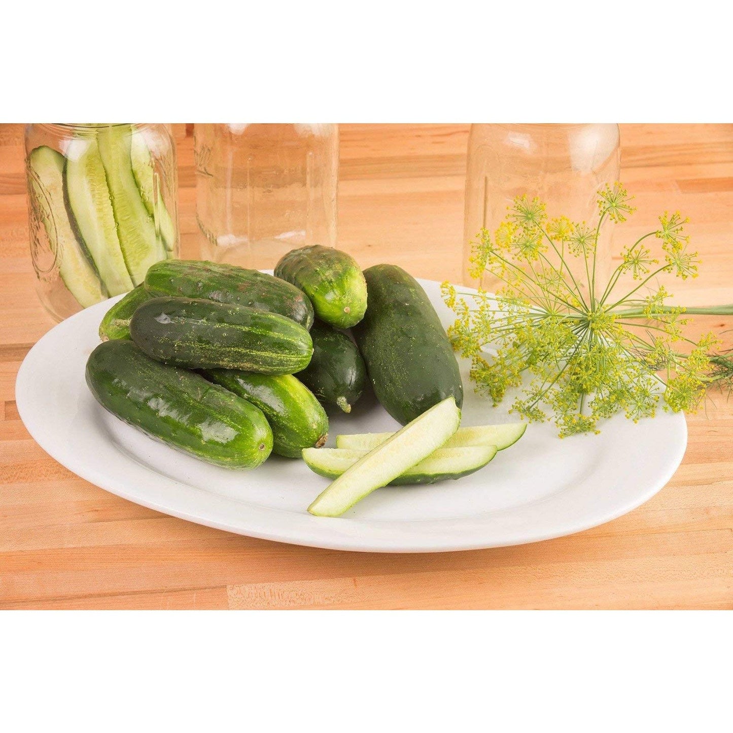 Max Pack – Cucumber Seed