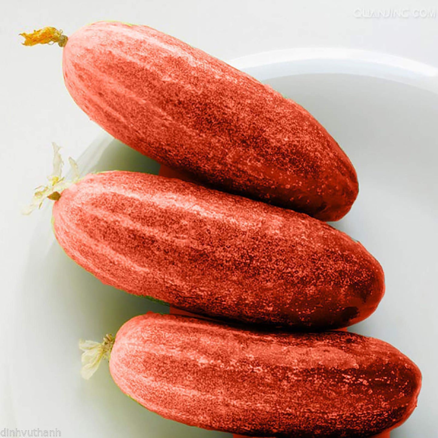 Cucumber Cucumis sativus Vegetable Seeds for Planting Red Variety in Kitchen Garden