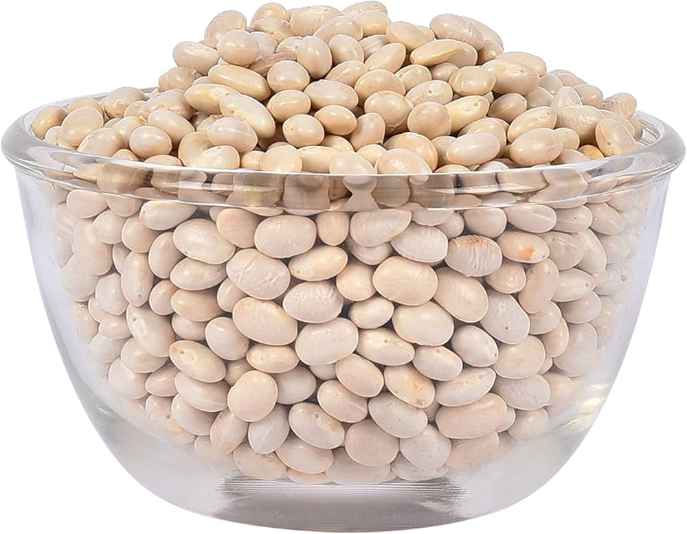 Non-GMO Navy Bean seeds growing into bushy plants that produce small, white beans commonly used in baked and soup recipes