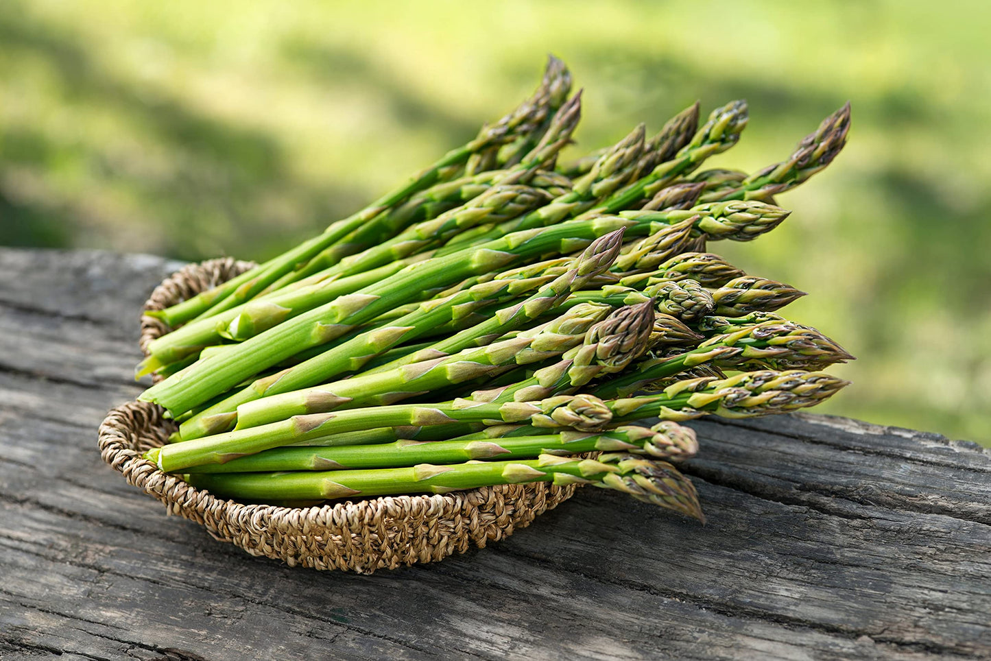 Asparagus Vegetable Plant Seeds