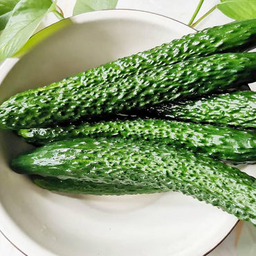 Japanese Long Cucumber Seeds for Planting - Heirloom & Non-GMO garden Seeds