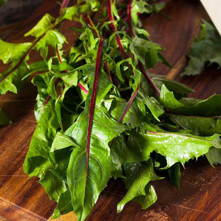 Garnet Stem Flower Seeds – Heirloom, Non-GMO Flower Seeds for Planting