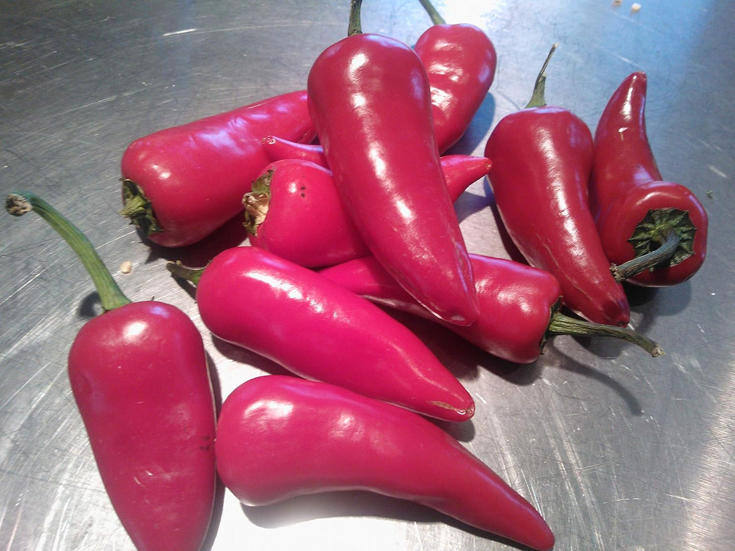 Pink chili Capsicum annuum seeds for planting in home garden