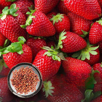 Chopped strawberry Fragaria × ananassa red fruit seeds for planting in balcony containers or kitchen garden beds
