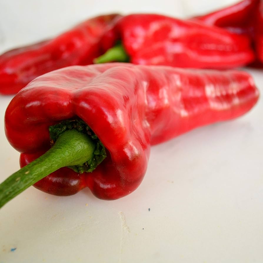 Marconi red pepper Capsicum annuum heirloom vegetable seeds for planting in kitchen garden or backyard beds