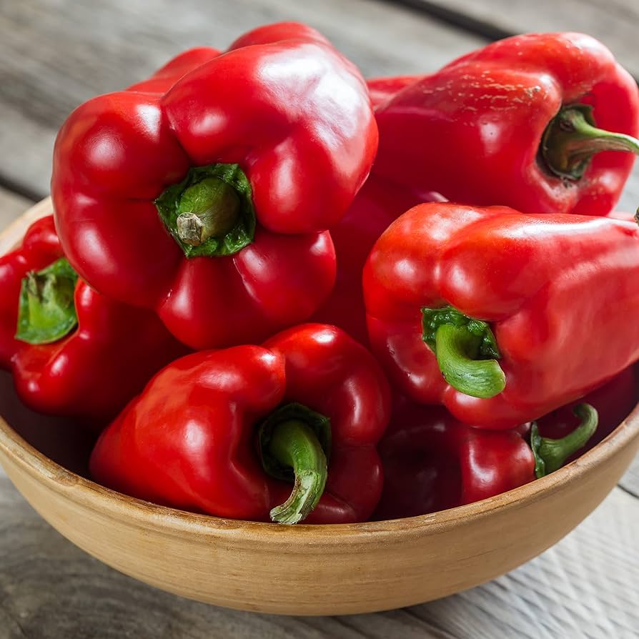 Sprinter – Organic Bell Pepper Seed