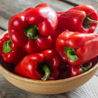 Sprinter – Bell Pepper Seed