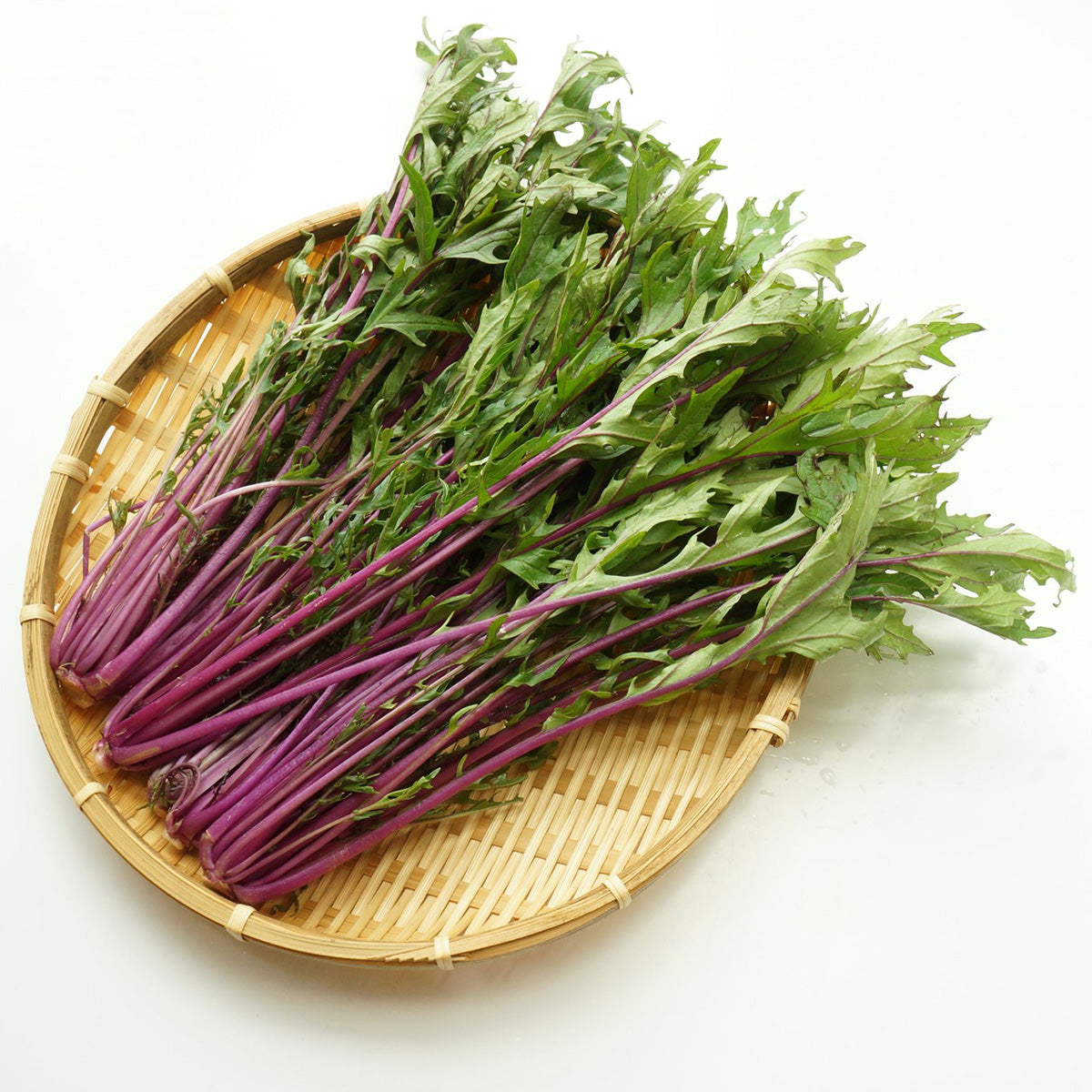 Mizuna- Purple