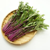 Mizuna- Purple