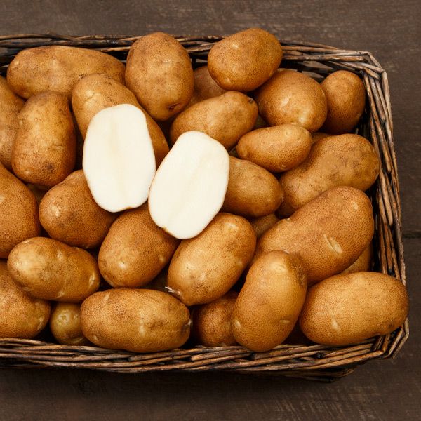 Caribou Russet – Organic Seed Potatoes