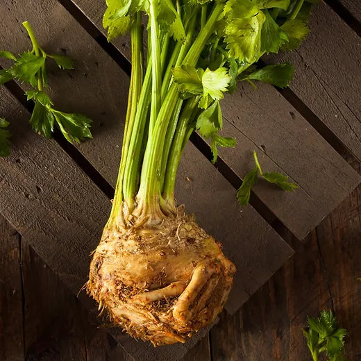 Monarch Celeriac Seeds