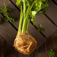 Monarch Celeriac Seeds