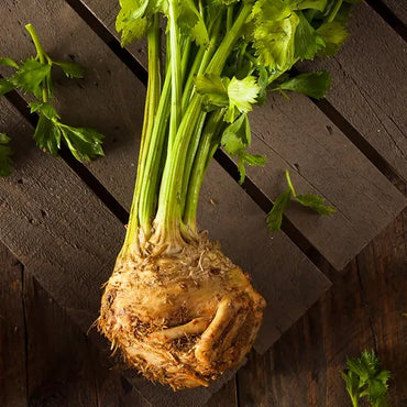 Monarch Celeriac Seeds