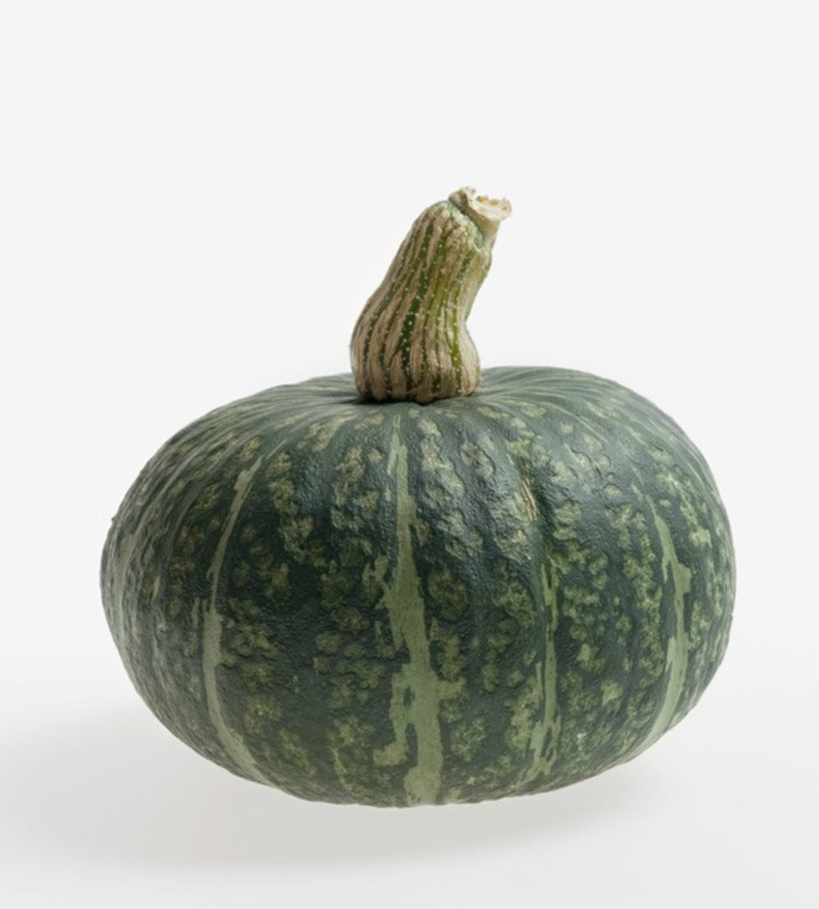 Cha-Cha – Organic Kabocha Squash Seed