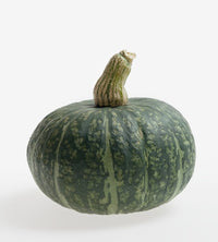 Cha-Cha – Organic Kabocha Squash Seed