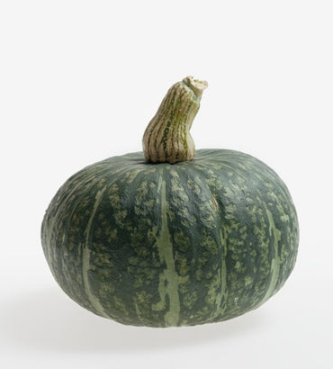 Cha-Cha – Organic Kabocha Squash Seed