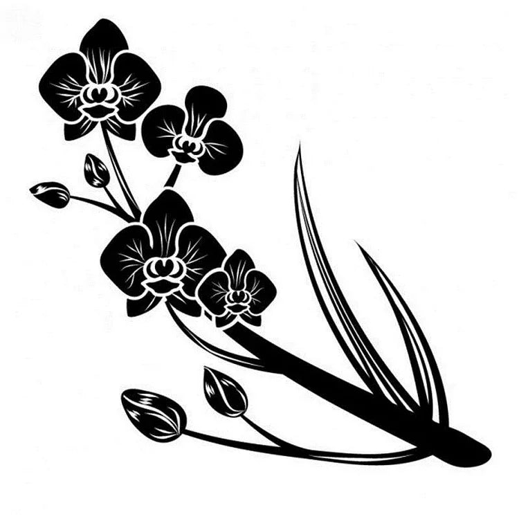 Egrow  Black Orchid Flower Seeds