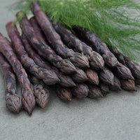 Erasmus – Purple Asparagus Seeds