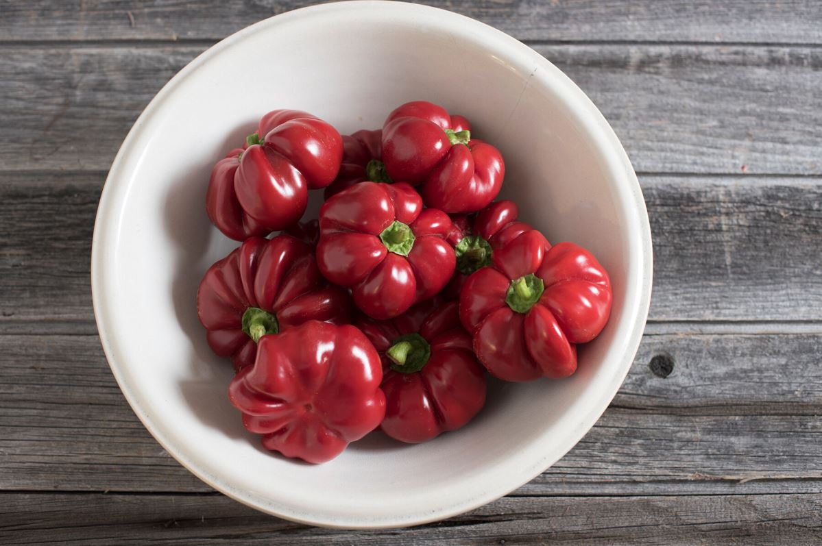 Round of Hungary – Pimento Pepper Seed