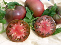 Brandywine Black tomato seeds for planting deep-colored rich heirloom tomatoes