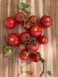Czech Bush tomato seeds – compact heirloom ideal for small spaces