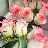 Elsa Pink Rose Flower Seeds