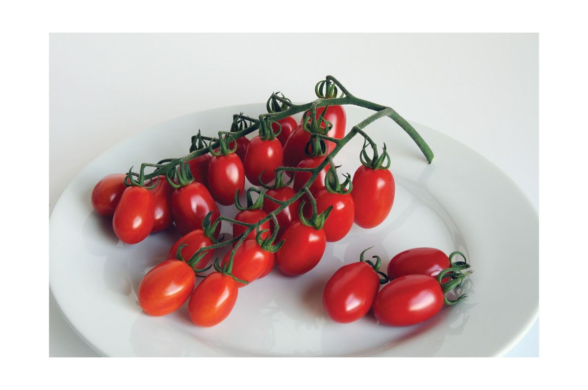 Red Pearl – Organic Tomato Seed