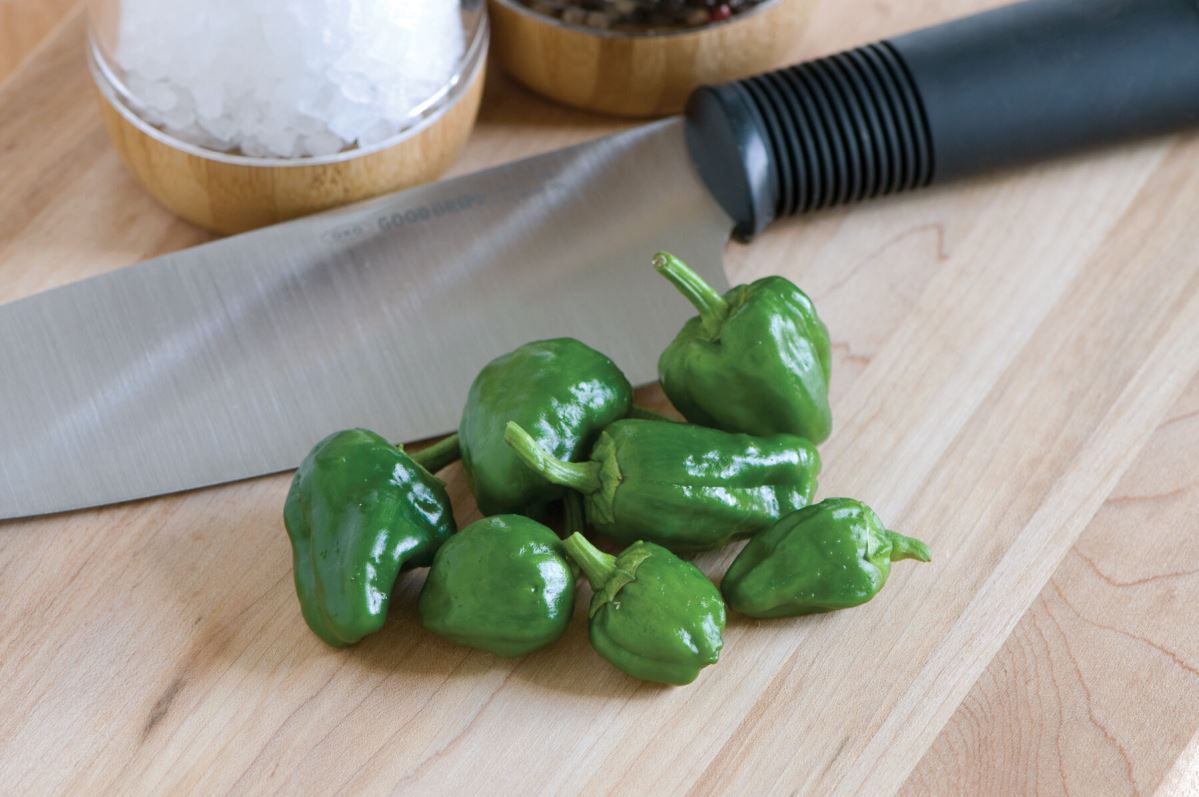 Padron – Organic Padron Pepper Seed