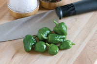 Padron – Organic Padron Pepper Seed