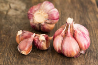 Chesnok Red – Garlic s