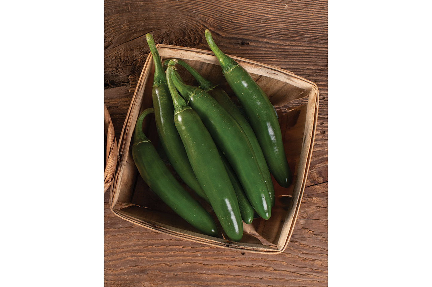 Impala – Serrano Pepper Seed