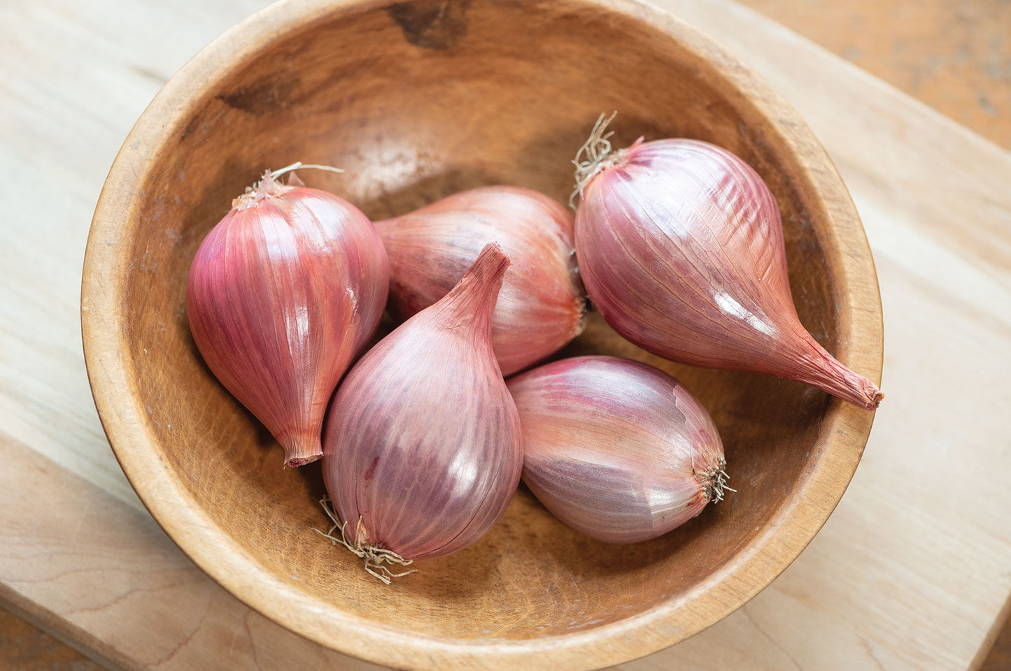 Camelot – Shallot Seed