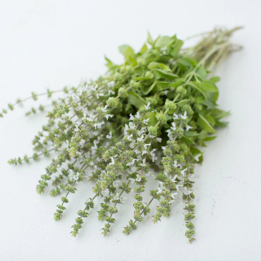 Mrs. Burns’ Lemon – Basil Seed