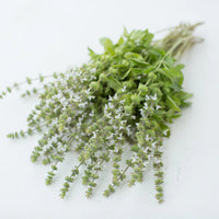 Mrs. Burns’ Lemon – Basil Seed