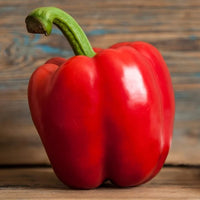 Cupid – Organic Bell Pepper Seed