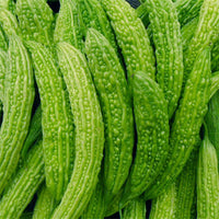 Bitter Melon Seeds Virgo Sementes Long Balsam Pear Seeds