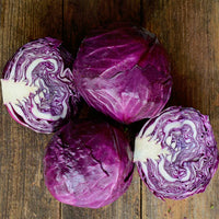 Ruby Perfection – Cabbage Seed