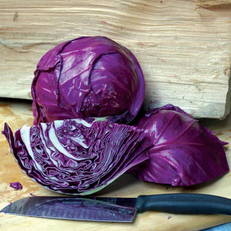 Ruby Perfection – Cabbage Seed