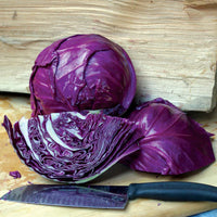 Ruby Perfection – Cabbage Seed