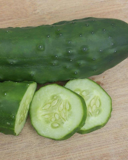 Olympian – Cucumber Seed