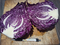 Candy Red – Cabbage Seed