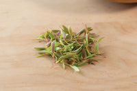 Celosia – Microgreen Seed