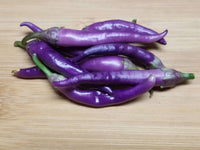 Chilli- Lilac Cayenne