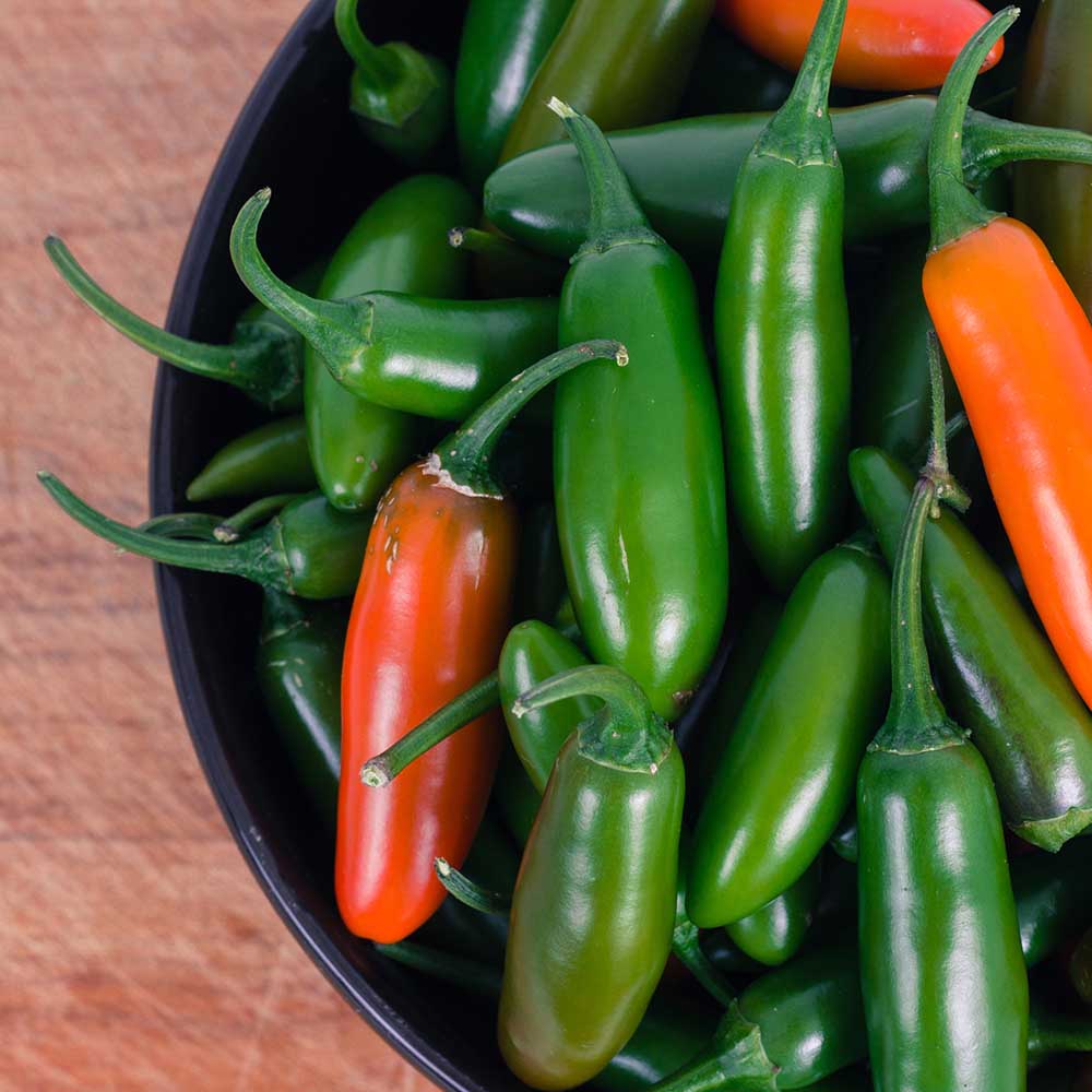 SVHJ5816 – Jalapeño Pepper Seed