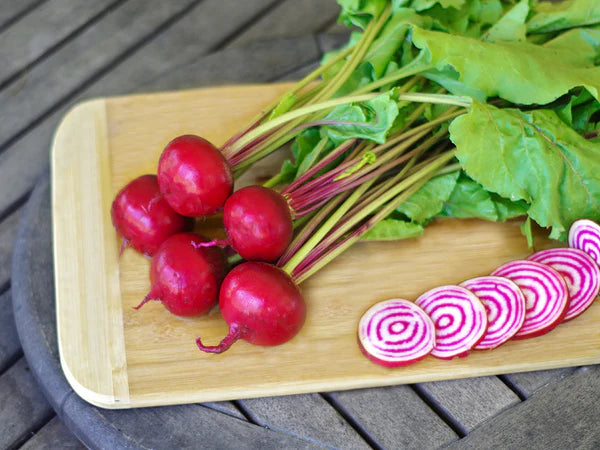 Chioggia Guardsmark – Beet Seed