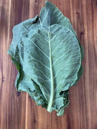Cash Crop – Georgia Collard Seeds