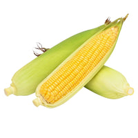 Corn, Maize- Manning Pride