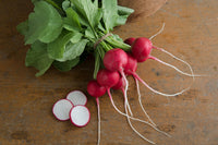 Crunchy King – Radish Seed