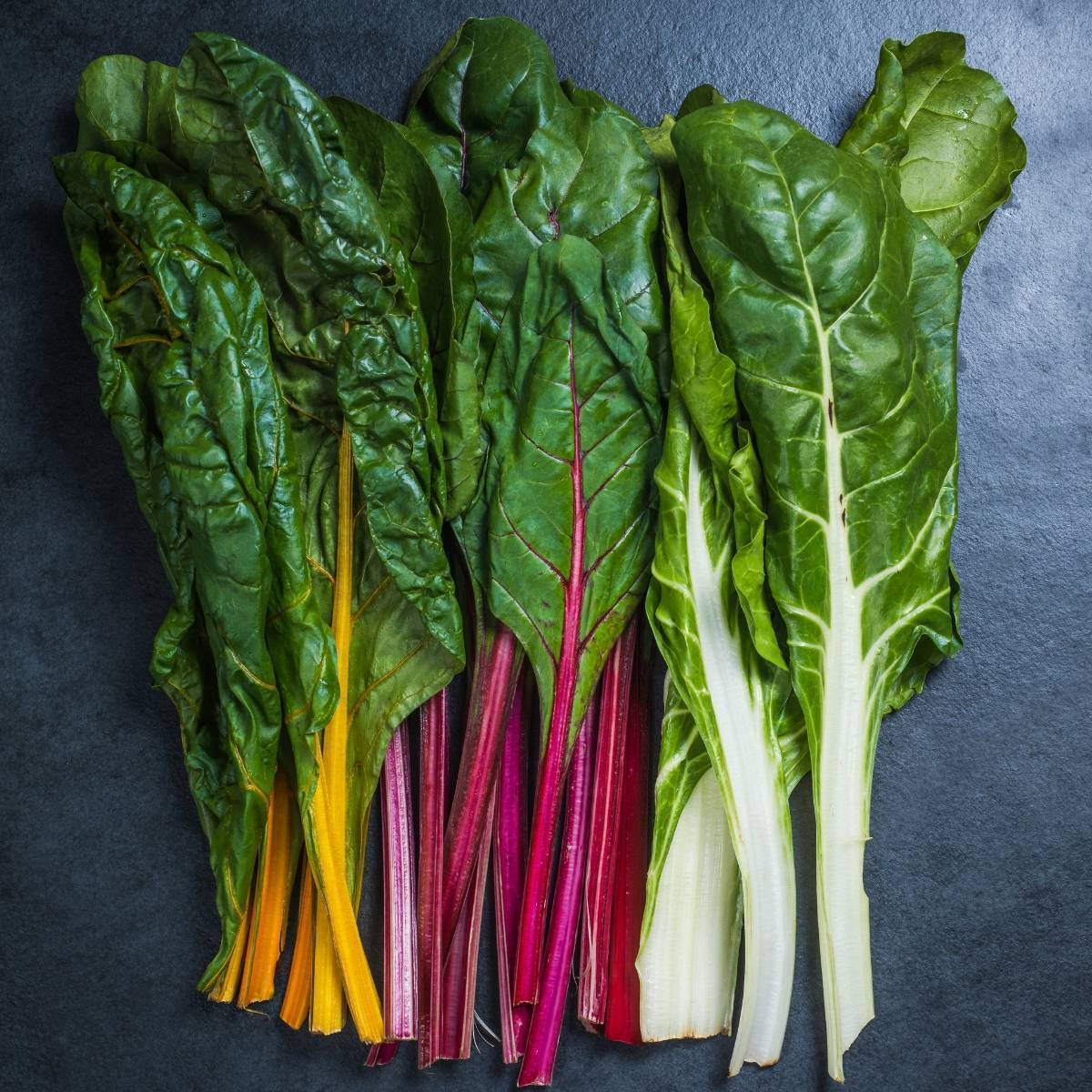 Silverbeet- Rainbow Chard